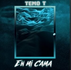 From the Artist " Temo T “ Listen to this Fantastic Spotify Song: En Mi Cama