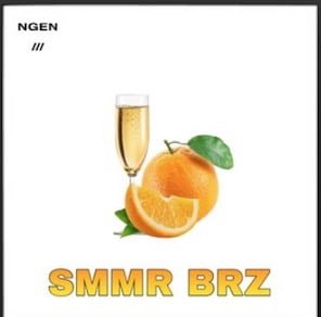 From the Artist NGEN Listen to this Fantastic Spotify Song Smmr Brz