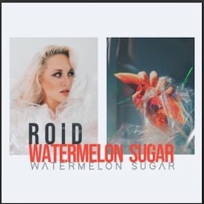 From the Artist Roid Listen to this Fantastic Spotify Song Watermelon Sugar Roid