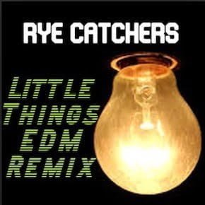 From the Artist Rye Catchers Listen to this Fantastic Spotify Song Little Things (Maze x Mxtreme remix)