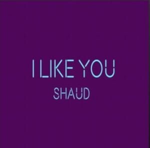 From the Artist Shaud Listen to this Fantastic Spotify Song I Like You