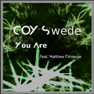 From the Artist COY Swede Listen to this Fantastic Spotify Song You Are