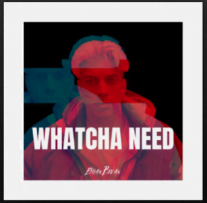 From the Artist Ethan Bevan Listen to this Fantastic Spotify Song Whatcha Need
