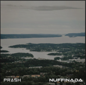 From the Artist Prash Listen to this Fantastic Spotify Song Nuffinada