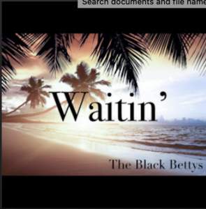 From the Artist The Black Bettys Listen to this Fantastic Spotify Song Waitin'