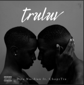From the Artist Dita Nurdian Ft. ChopzTix Listen to this Fantastic Spotify Song Truluv
