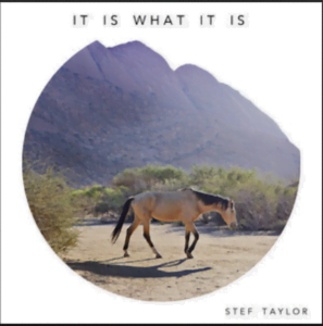 From the Artist Stef Taylor Listen to this Fantastic Spotify Song It Is What It Is