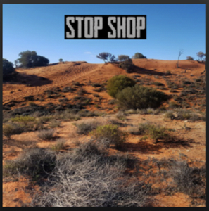 From the Artist Stop Shop Listen to this Fantastic Spotify Song City Walking
