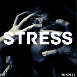 From the Artist Mindset Listen to this Fantastic Spotify Song Stress