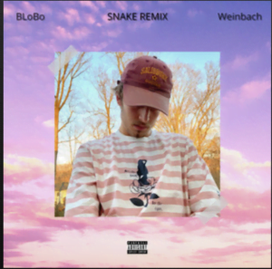 From the Artist BLoBo Listen to this Fantastic Spotify Song Snake (feat. Weinbach) [Remix]