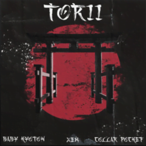 From the Artist Collar Pocket, XEN Listen to this Fantastic Spotify Song Torii Ft. Baby Kyotoh