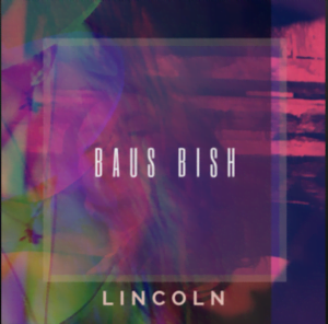 From the Artist Lincoln Listen to this Fantastic Spotify Song Baus Bish