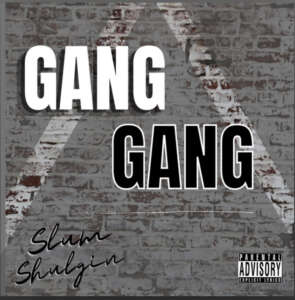 From the Artist Slum Shulgin Listen to this Fantastic Spotify Song Gang
