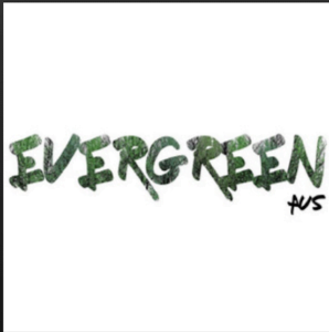 From the Artist Evergreen Aus Listen to this Fantastic Spotify Song I Really Wanna Funk You