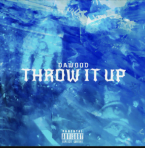From the Artist Dawood Listen to this Fantastic Spotify Song THROW IT UP