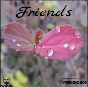From the Artist Doddi & Weekendson Listen to this Fantastic Spotify Song Friends