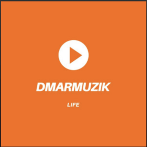 From the Artist DMARMUZIK Listen to this Fantastic Spotify Song LIFE