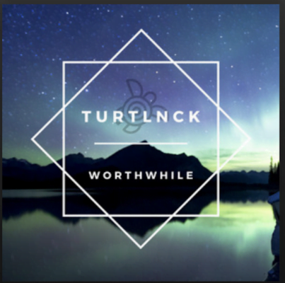 From the Artist Turtlnck Listen to this Fantastic Spotify Song Worthwhile