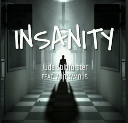 From the Artist Jude Goldforster Listen to this Fantastic Spotify Song INSANITY