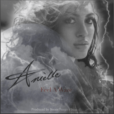 From the Artist Amèlle Listen to this Fantastic Spotify Song Feel A Waze