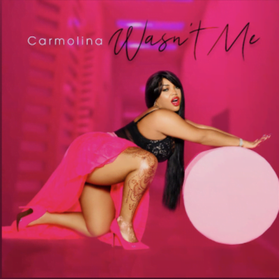 From the Artist Carmolina Listen to this Fantastic Spotify Song Wasn’t Me