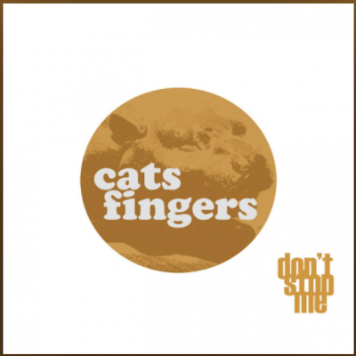 From the Artist Cats Fingers Listen to this Fantastic Spotify Song Don't Stop Me