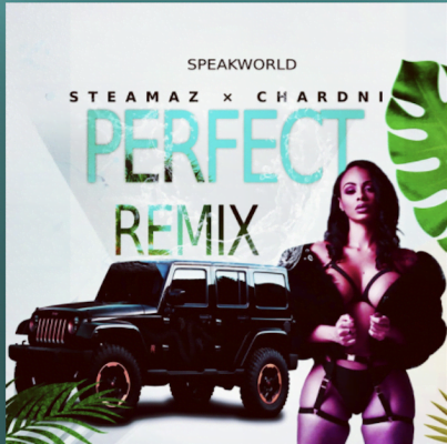 From the Artists Chardni , Steamaz Listen to this Fantastic Spotify Song Perfect