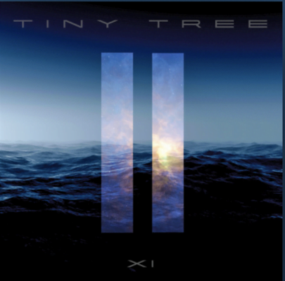 From the Artist Tiny Tree Listen to this Fantastic Spotify Song December