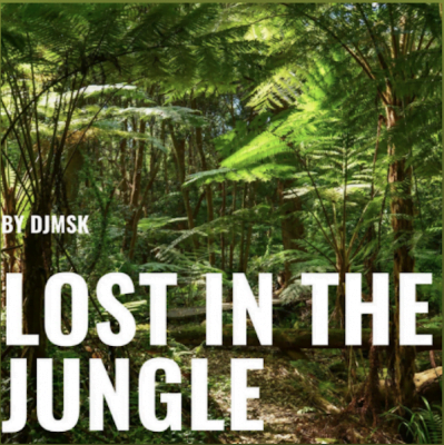From the Artist DJMSK Listen to this Fantastic Spotify Song Lost In The Jungle