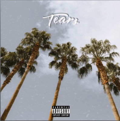 From the Artist DNY$3 Listen to this Fantastic Spotify Song Tears