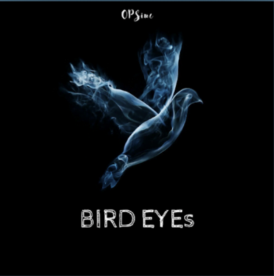 From the Artist OPSinc Listen to this Fantastic Song Bird Eyes