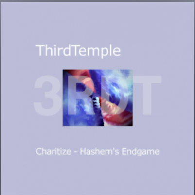 Listen to this Fantastic Song 'Charitize - Hashem's Endgame' by ThirdTemple