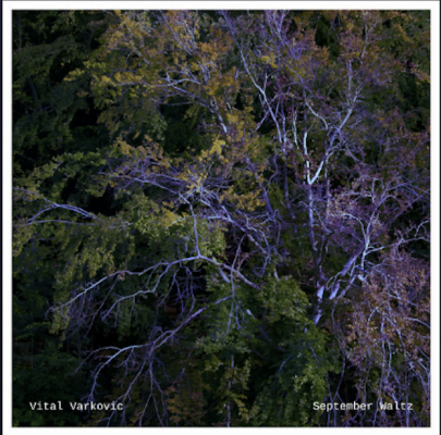 From Spotify for Artist Listen to : September Waltz by Vital Varkovic