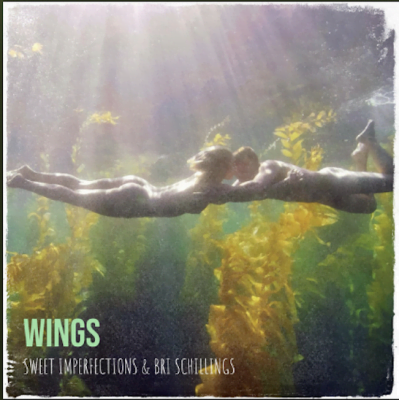 From Spotify for Artist Listen to : Wings by Sweet Imperfections