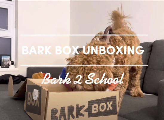 First ever BarkBox Unboxing || Puppy toy review || Bark 2 School