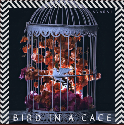 From Spotify Artist Avaraj Listen to the amazing song: Bird in a Cage