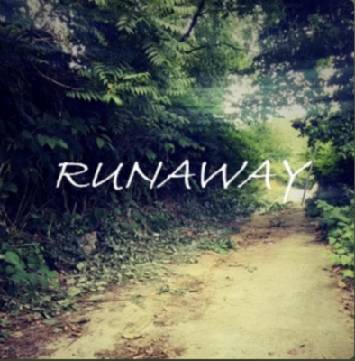 “ Runaway ” by Zaneta Z Artist