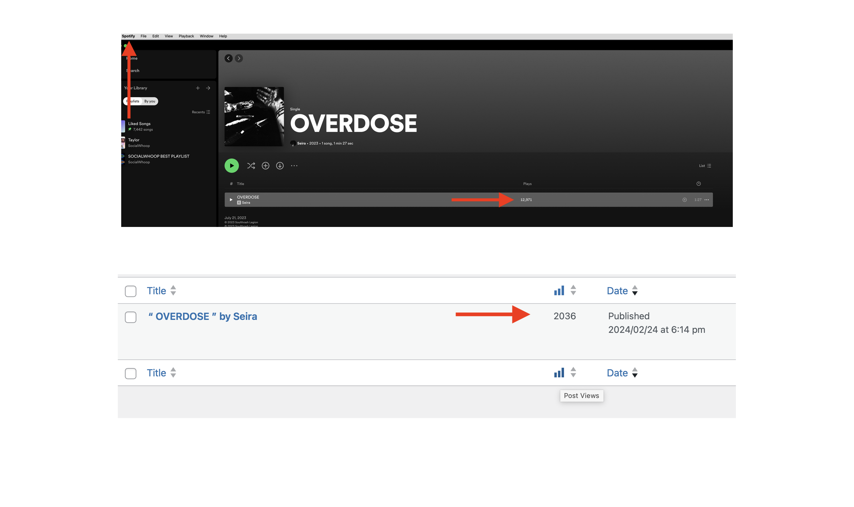 “ OVERDOSE ” by Seira ( results from our service )